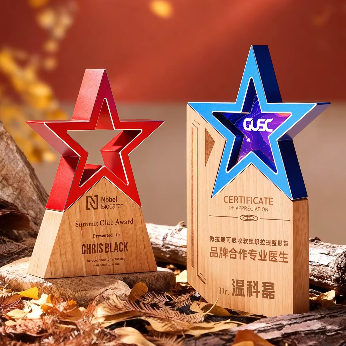 New Wooden Trophy